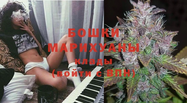 молекула духа Таштагол