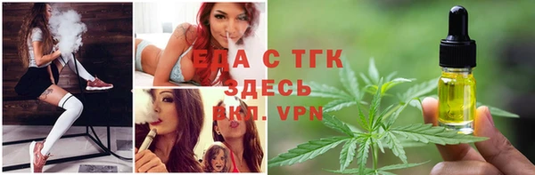 амф Новодвинск