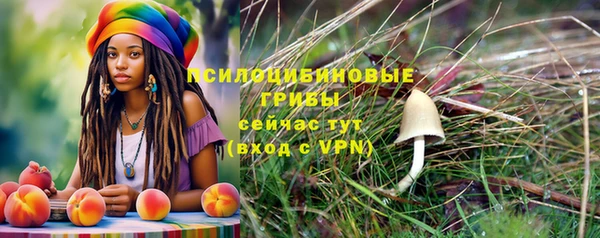 mdma Няндома