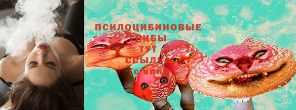 mdma Няндома