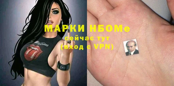 амф Новодвинск