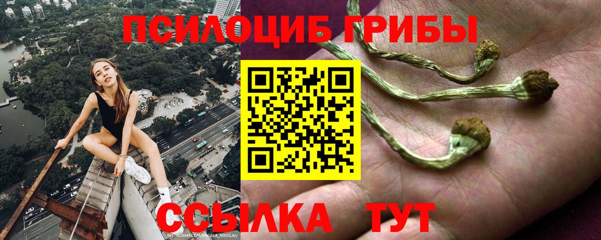 Армавир  Галлюциногенные грибы ЛСД  Псилоцибиновые грибы мицелий  Вход с VPN 