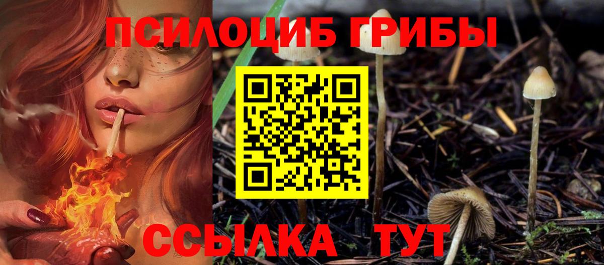 Псилоцибиновые грибы GOLDEN TEACHER  Армавир 